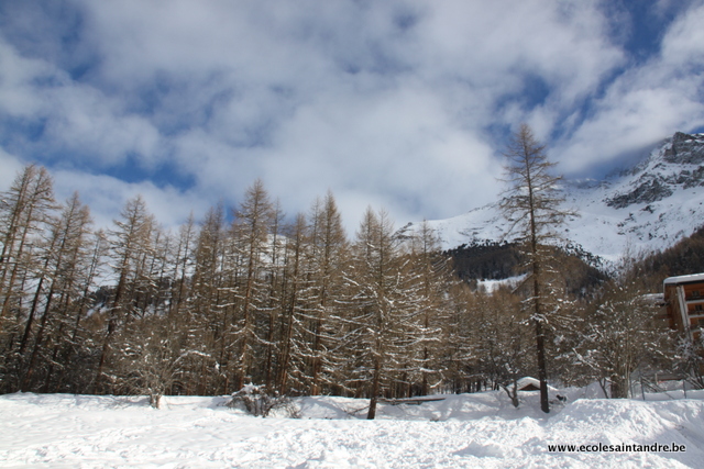 44-IMG_0844