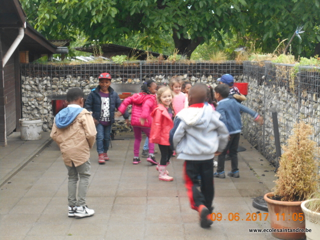 DSCN2198
