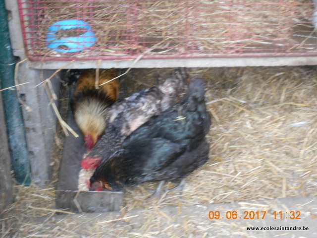 DSCN2242