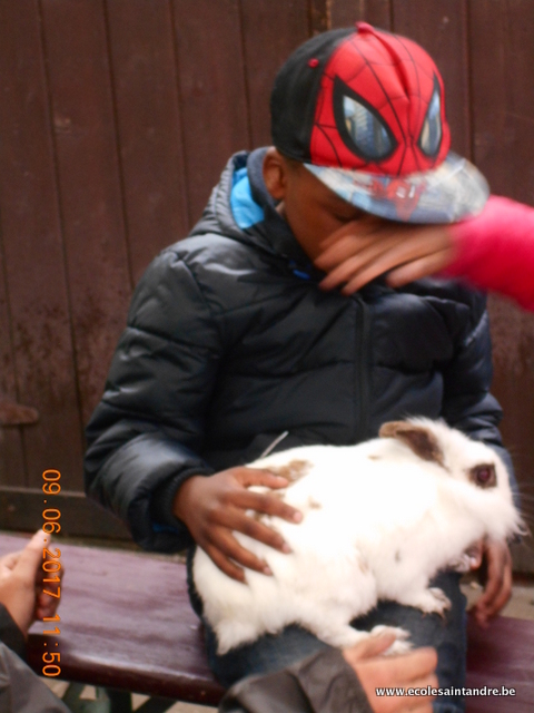DSCN2267