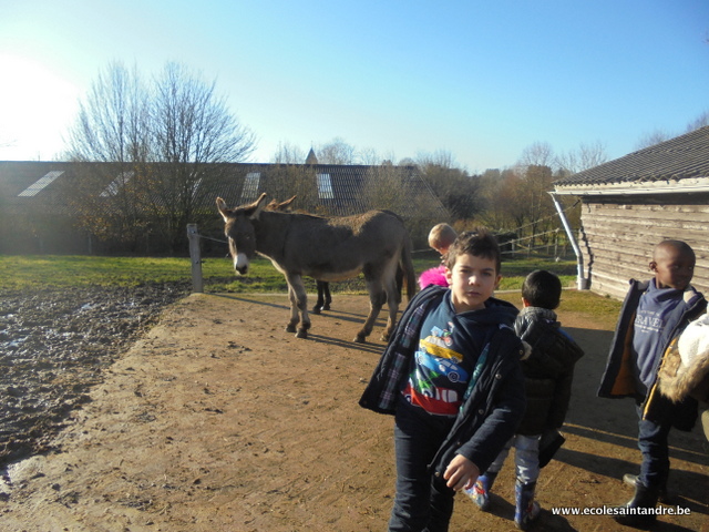 ferme 17 73