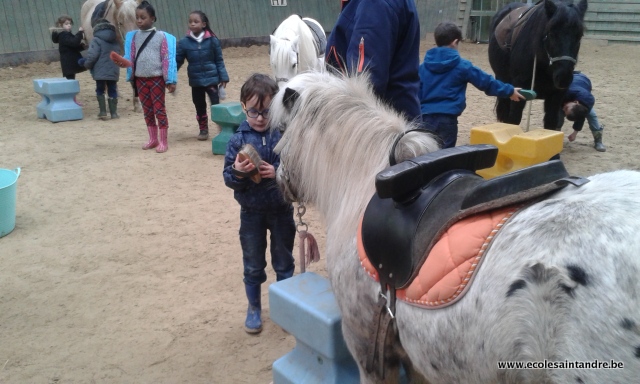 ferme 2017 43