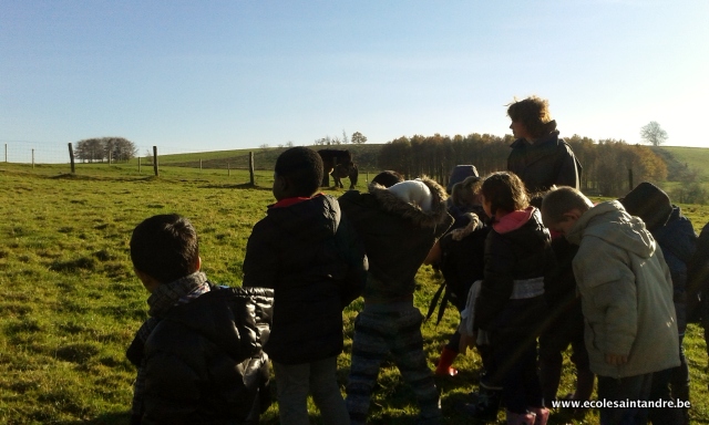 ferme 2017 9